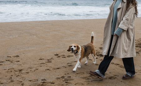 Partial view of a woman strolling on the beach with her beagle by the ocean