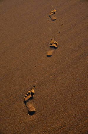 foot printsの写真素材