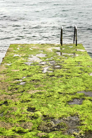 Platform of descent to the sea fills of algae