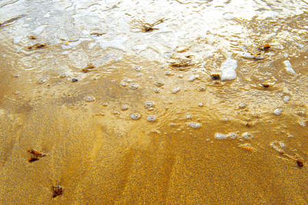 Shore of the beachの写真素材