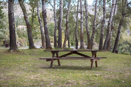 wooden table to snack in the middle of nature surrounded by trees.