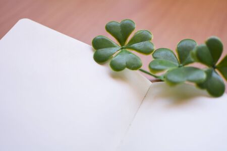 Clover with four lucky leaves on the leaves of a blank notebook.の写真素材
