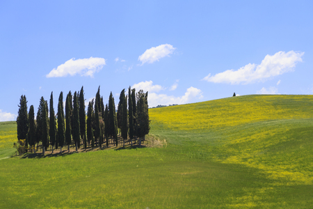 Typical Tuscan landscapeの写真素材