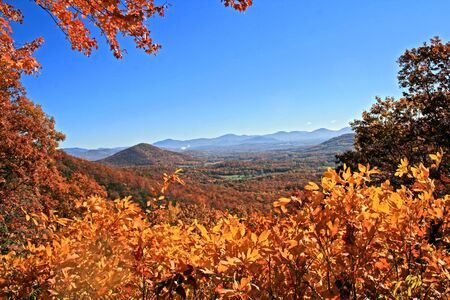 View of distant mountains through autumn trees on Blue Ridge Parkway, North Carolinaの写真素材