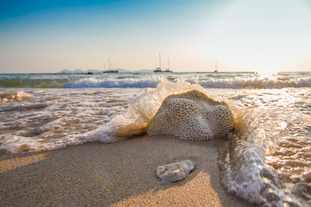 Andaman sea 11の写真素材