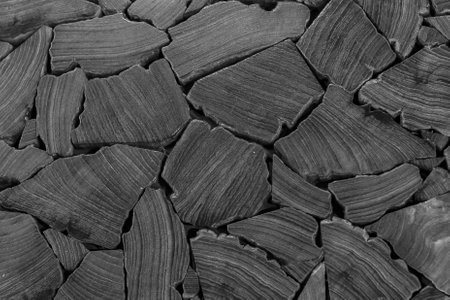 Black & White hard Wood Textureの写真素材
