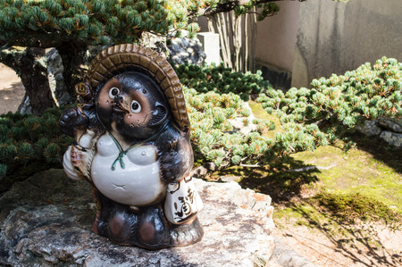 tanukiのeditorial素材