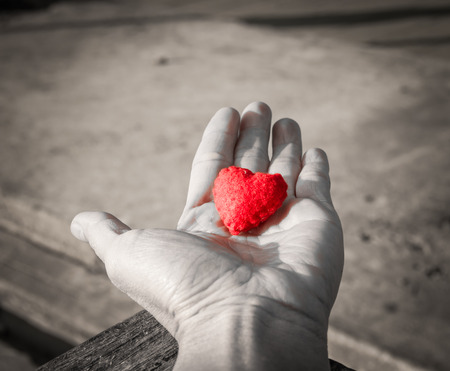 Heart in hand,,spot color technicalの写真素材