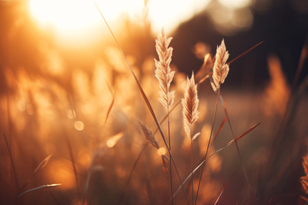 The beauty of wild grass in a forest at sunset. The golden hour light illuminates the grass. Generative AI