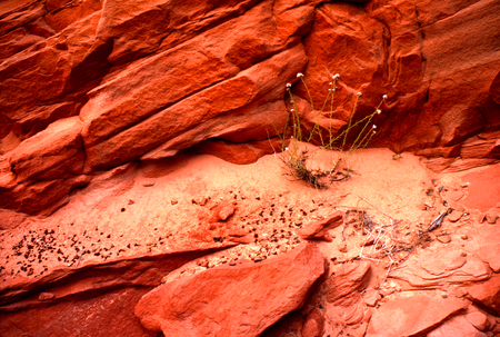 Sandstone Rocksの写真素材