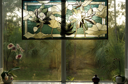 Window facing the tropical forestの写真素材