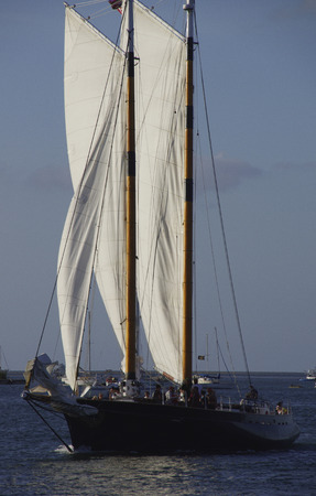 Black sailboat sailing in late afternoonの写真素材