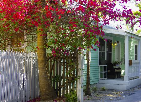A typical scene in Key West streetsの写真素材