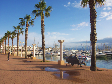 Promenade in the Marina of Alicante with palms in a sunny dayのeditorial素材