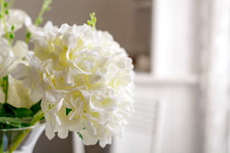 close-up view of a group of white flowersの写真素材