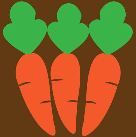 Orange color carrot with green leaves on brown background vector drawingのイラスト素材