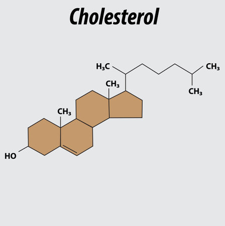 Chemical structure of cholesterol vector graphic with layersのイラスト素材