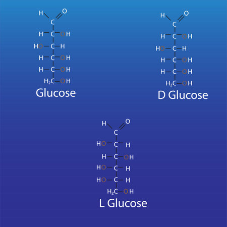 All Structures of glucose linear forms biomoleculeのイラスト素材