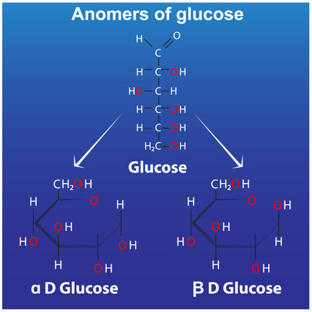 Structure of Glucose, Fructose and Galactose