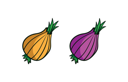 a cream and purple colored onion vector. easy to use and editableのイラスト素材