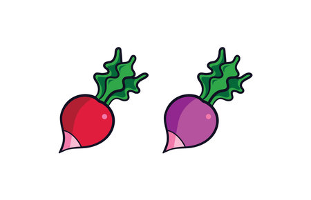 Radish vector in purple and red. editable and easy to useのイラスト素材