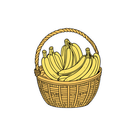 simple illustration banana in a fruit basketのイラスト素材