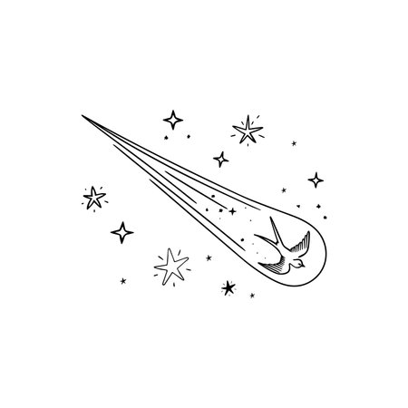 illustration of a swallow flying with a comet's tailのイラスト素材