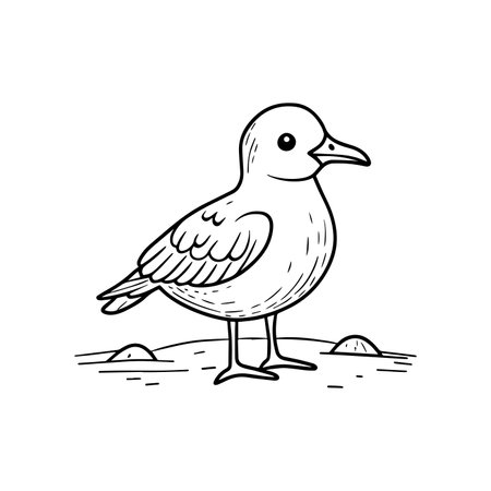 Simple drawing of a seagull on the sandのイラスト素材