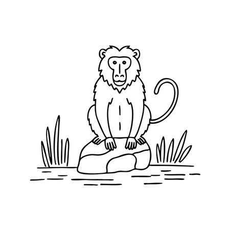 An illustration of a baboon sitting on a rock in the savannahのイラスト素材