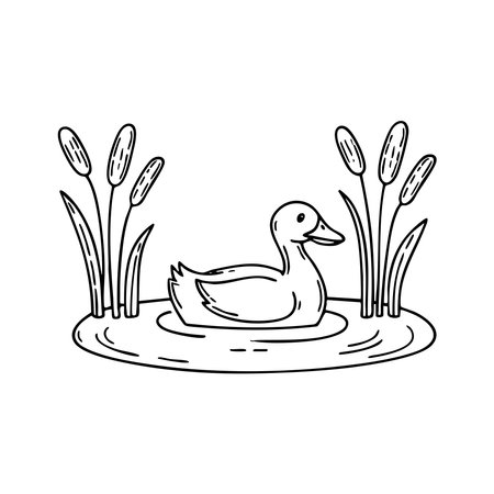 Duck floating among reeds in a calm pondのイラスト素材