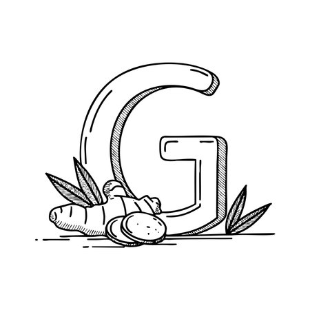 ginger, letter, G, root, spice, herb, flavor, plant, kitchen, fresh, dried, aroma, cooking, healing, earthy, food, pungent, zest, medicinal, herbal, tea, spice jar, cuisine, fresh root, grated, powder, flavoring, gingerbread, sharp, warm, cooking, aromatic, pungency, vegetable, anti inflammatory, health, rootstock, root vegetable, nutrition, essence, spice blend, season, ingredient, root extract, fresh ginger, natural remedyのイラスト素材