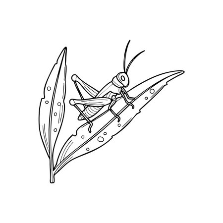 Doodle illustration of a grasshopper perched on a garden leaf with dew dropsのイラスト素材