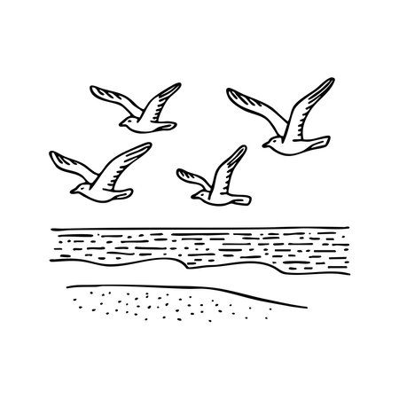 Doodle illustration of a flock of gulls flying over a sandy beachのイラスト素材