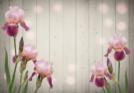 Delicate pink irises with deep purple centers are arranged on a textured, light-colored wooden surface with subtle bokeh lights.の素材