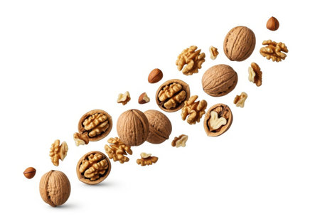 Walnuts falling into the air isolated on white background. 3d illustrationの素材