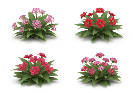 Set of red flowers with green leaves isolated on white background. Vector illustration.の素材