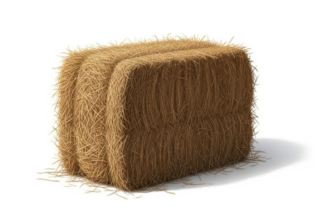 A tightly bound, rectangular bale of golden-brown hay sits isolated on a clean white surface, casting a subtle shadow.の素材