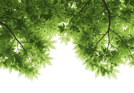 Lush green leaves and branches frame the image top against a bright background, symbolizing growth, nature, and freshness.の素材