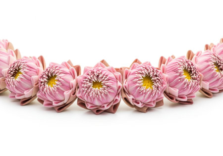 Traditional pink folded lotus buds arranged in a graceful curve. Symbolizing purity, beauty, enlightenment on clean background.の素材