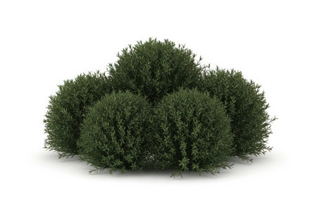 A cluster of dense, round green bushes, meticulously rendered in 3D for landscaping and architectural visualization.の素材