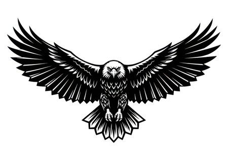 Bald Eagle. Eagle with wings. Tattoo design. Vector illustrationの素材