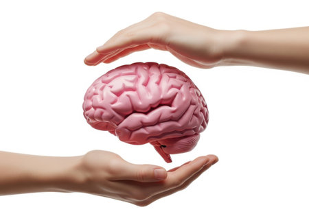 Two hands cup and protect a realistic human brain, symbolizing care, knowledge, and mental well-being.の素材
