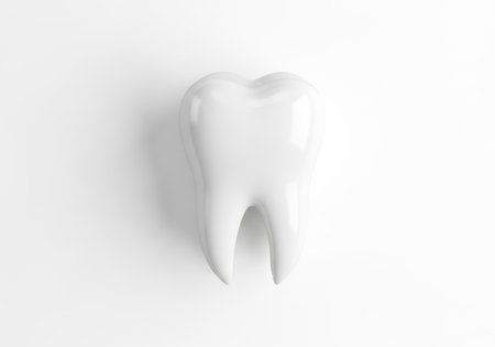A single, perfectly white molar tooth is presented in a clean, minimalist studio shot against a stark white backdrop.の素材