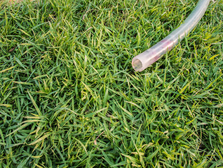 Rubber pipe on grass