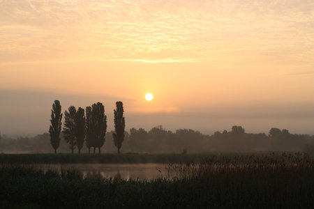 A sunrise on the small lakeの写真素材