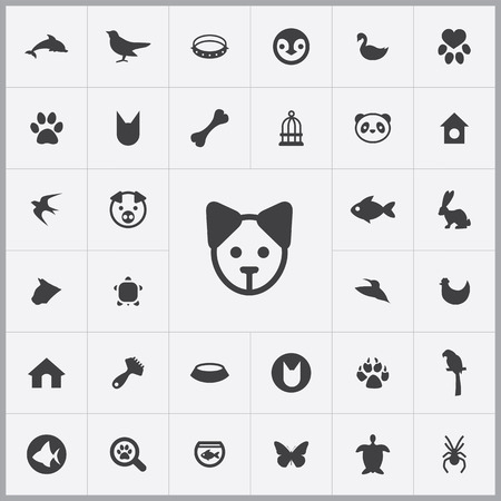 animals, pets icons universal set for web and mobileのイラスト素材