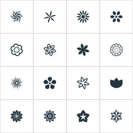 Vector Illustration Set Of Simple Rose Icons. Elements Lilac, Morning Glory, Orchids And Other Synonyms Ornament, Chamomile And Cypress.のイラスト素材