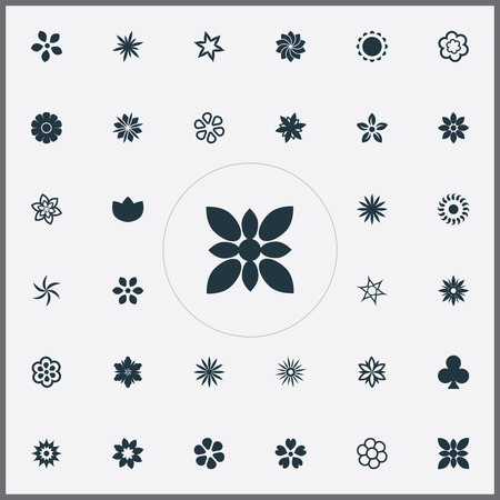 Elements Marguerite, Peonies, Saffron And Other Synonyms Cypress, Crocus And Harebell.  Vector Illustration Set Of Simple  Icons.のイラスト素材