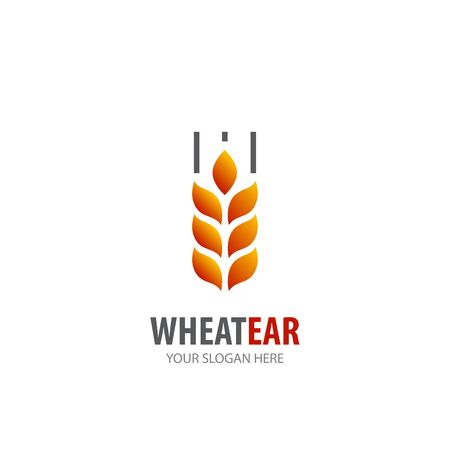Wheat ear logo for business company. Simple Wheat ear logotype idea designのイラスト素材