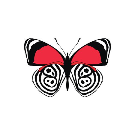 Butterfly colored sign white background simple illustrationのイラスト素材